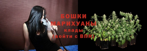 гидропоника Александровское