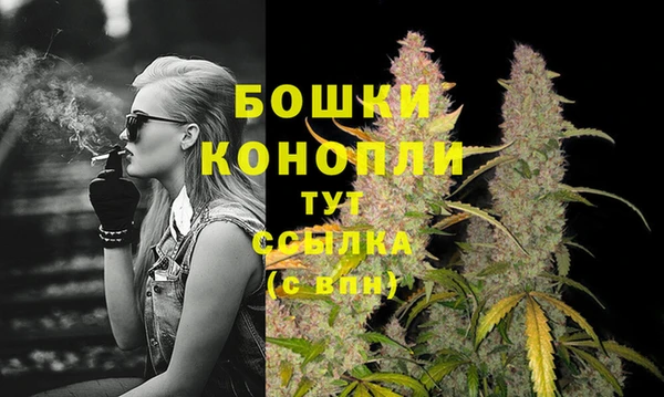 дмт Корсаков