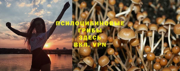 дмт Корсаков