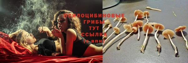 гидропоника Коряжма