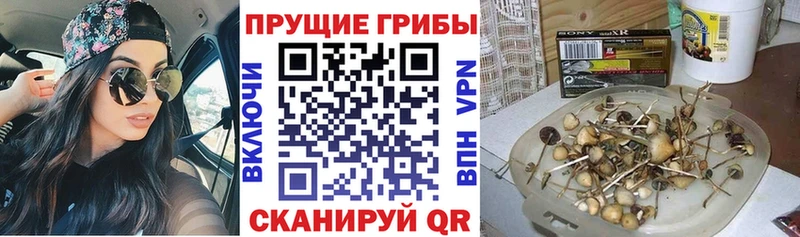 Псилоцибиновые грибы Magic Shrooms Усть-Илимск