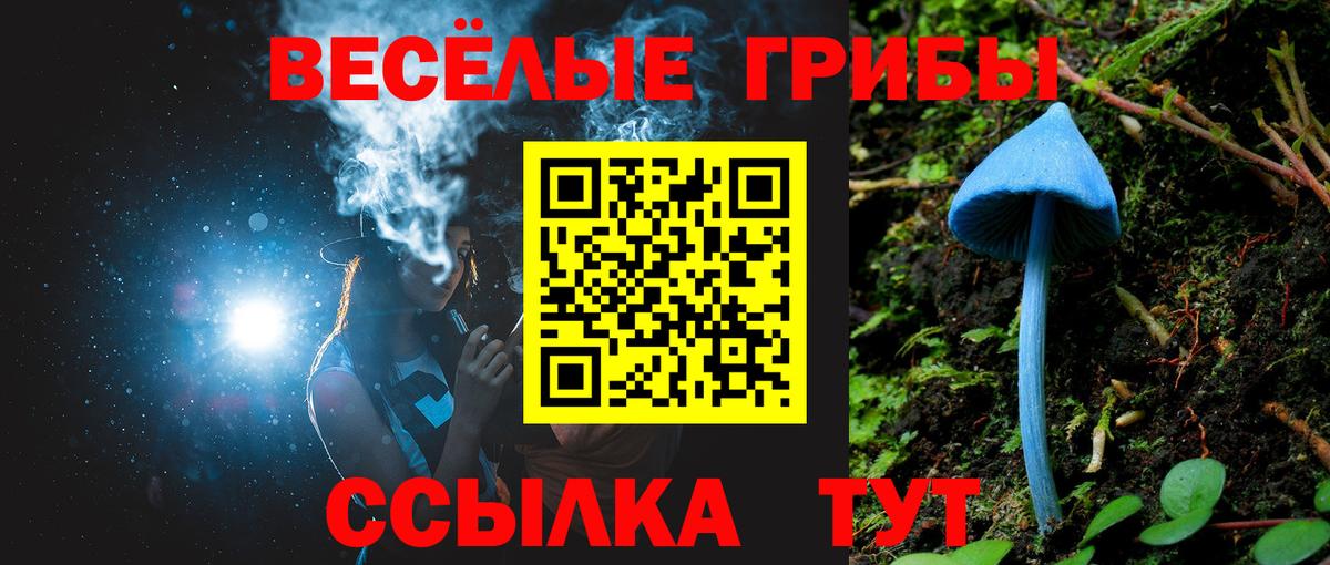 Псилоцибиновые грибы ЛСД  Усть-Илимск 