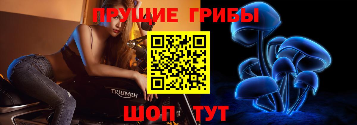 Псилоцибиновые грибы мухоморы Усть-Илимск
